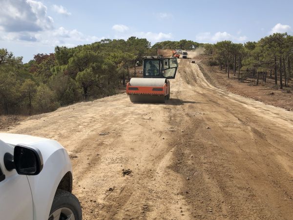 Cost of Driveway Grading in Meridian