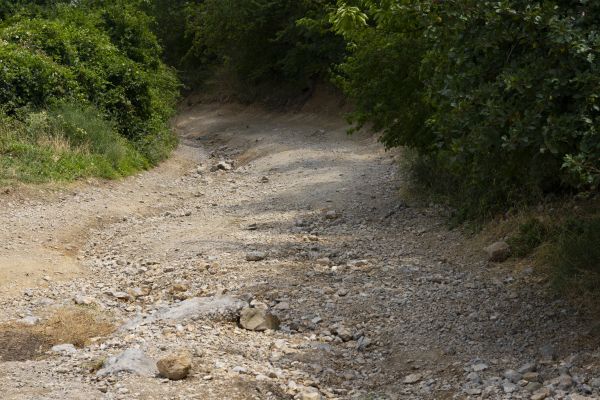 Cost of Gravel Road Pothole Repair in Meridian