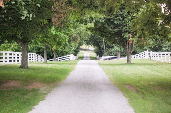 Cost of Gravel Driveway Construction in Meridian