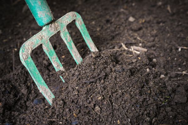 Cost of Topsoil Spreading in Meridian
