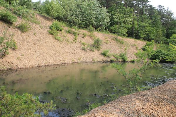 Cost of Pond Erosion Repair in Meridian