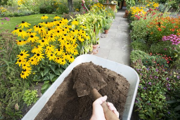 Cost of Topsoil Installation in Meridian