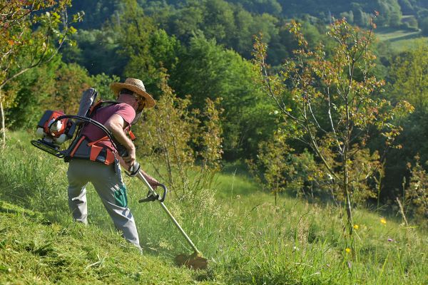 Cost of Slope Trimming in Meridian